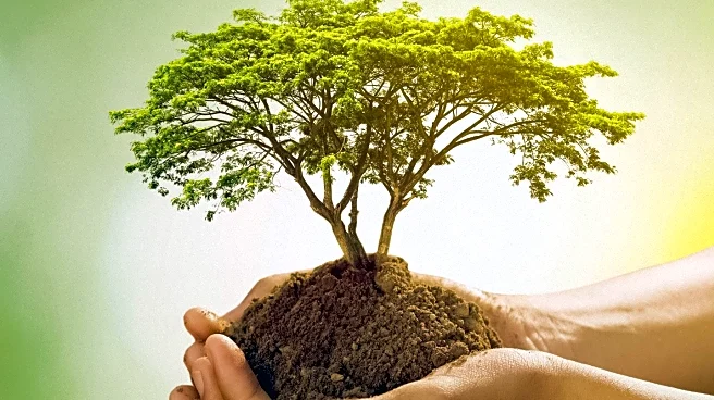 Tu Bishvat Evolves into a Festival of Environmental Responsibility and Cultural Reflection