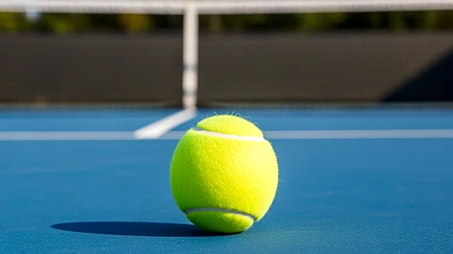 Elena Rybakina Clinches Australian Open Title with Composed Victory