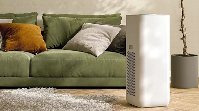 Affordable Air Purifiers Gain Popularity for Home Use
