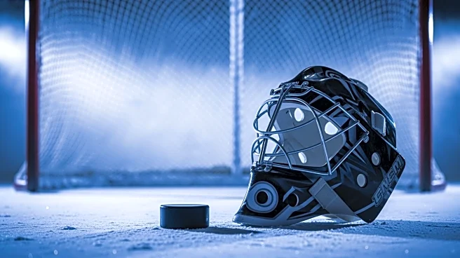 Mammoth's Karel Vejmelka Faces Defeat Amid Power Play Struggles