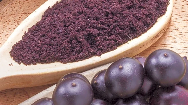 Palmetto Berry Supplements: Potential Health Benefits and Considerations for Consumers