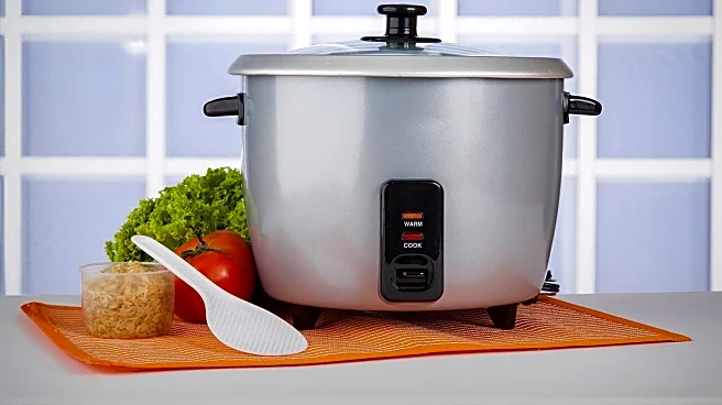 Zojirushi Rice Cooker Gains Popularity Among Sushi Chefs for Perfect Rice