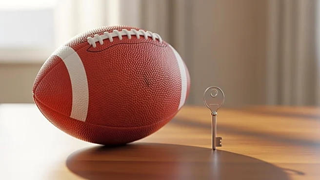 Lyon’s English Forward Alejandro Gomes Rodriguez to Join Annecy on Loan