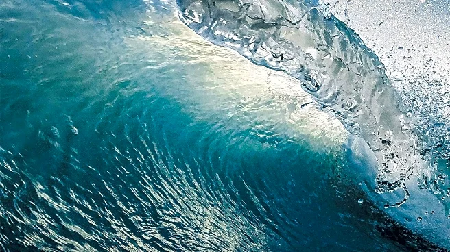 Morrow Group Relaunches Harper Wave as Frontlist Imprint Focusing on Lifestyle and Wellness