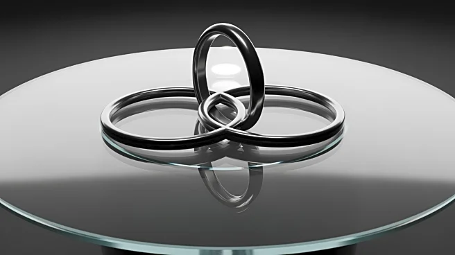 Evvolve  Partners Launches 'Evvolve Circle' to Streamline Private Market Co-Investment