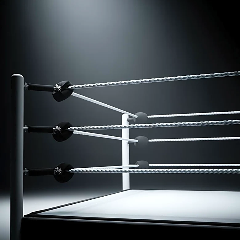 AJ Styles Concludes WWE Career on His Own Terms, Future Plans Uncertain