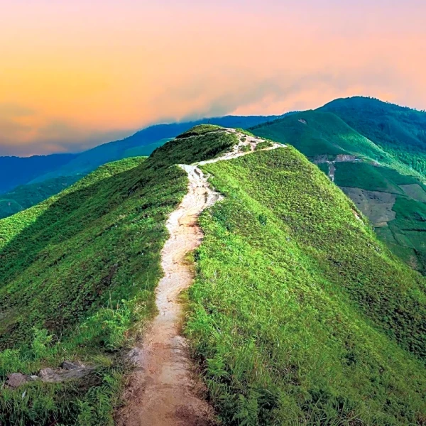 Placerita Canyon State Park Hike Offers Historical and Natural Insights