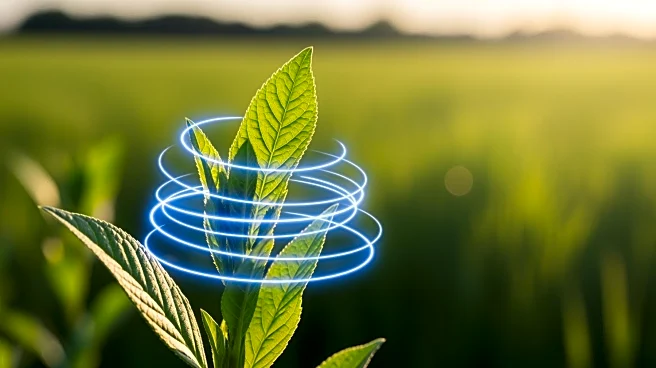 Azaneo Introduces Electroportation for Weed Control, Aiming to Reduce Herbicide Use