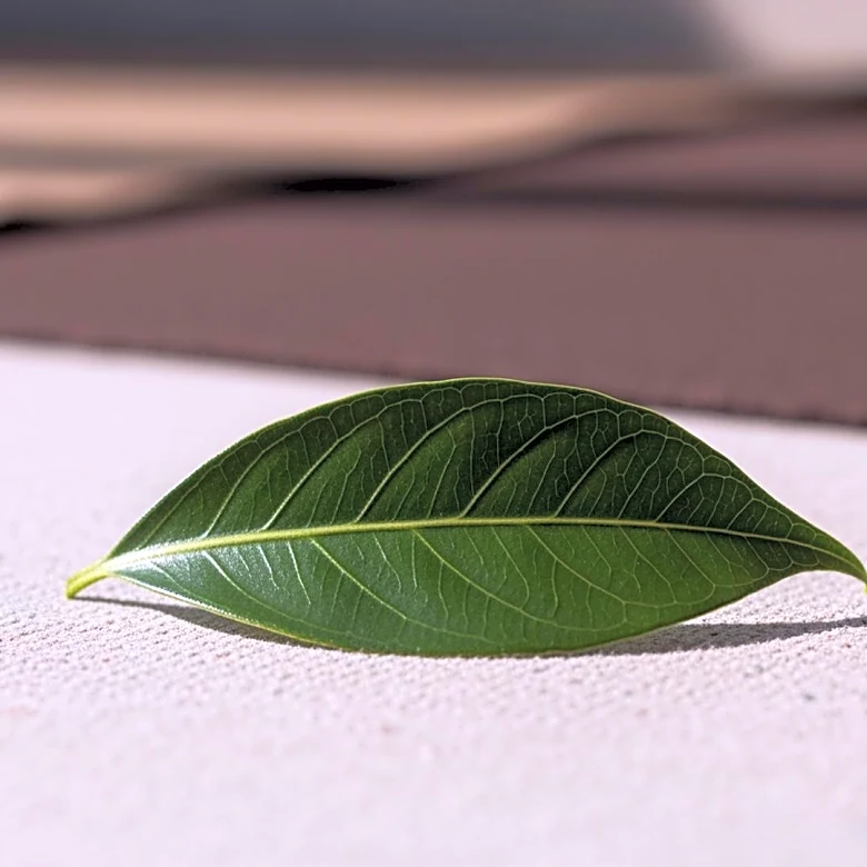 Kering Launches Generation Award in MENA Region to Promote Sustainable Fashion