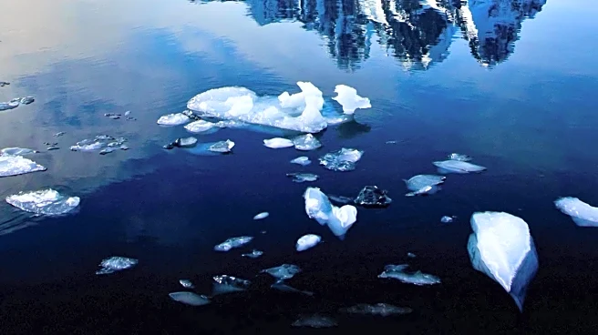 Sebastião Salgado's Photographic Tribute to Earth's Icy Regions