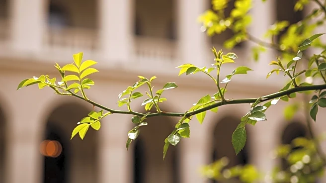 Karim Aïnouz's 'Rosebush Pruning' Premieres at Berlin Film Festival