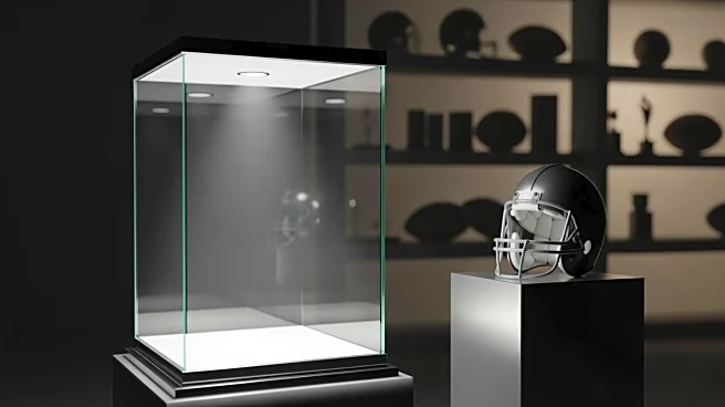 Pro Football Hall of Fame Voting Process Criticized for Excluding Bill Belichick