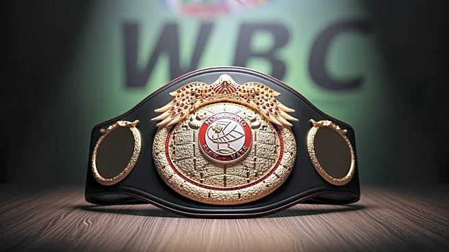 WBC Strips Shakur Stevenson of Lightweight Title Amid Controversy