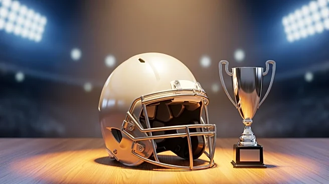 Tetairoa McMillan Named Offensive Rookie of the Year, Sets Franchise Record