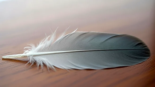 Drew Barrymore Embraces Gray Hair in New Transformation on Instagram