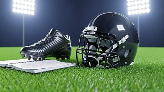 David Avit Joins Arizona State's Competitive Running Back Lineup