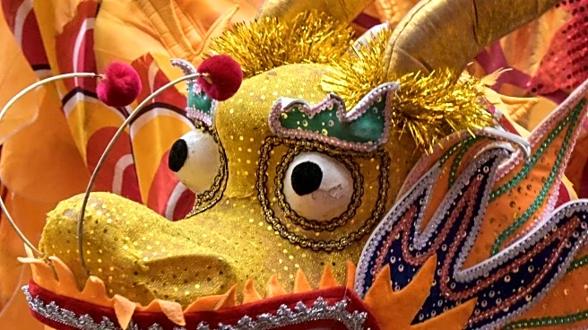 Arden Fair Mall Hosts Lunar New Year Celebration with Cultural Events and Prizes