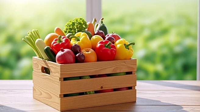 U.S.-India Trade Agreement to Enhance American Agricultural Exports