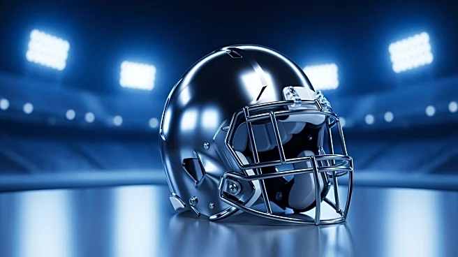 NFL Fans' Sentiments on New England Patriots' Super Bowl Return