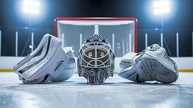 NHL Week 17 Showcases Top Goalie Saves of the Season