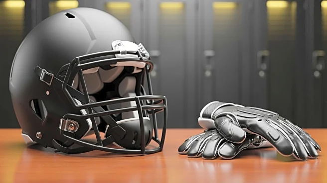 Domata Peko Joins Pittsburgh Steelers as Defensive Line Coach