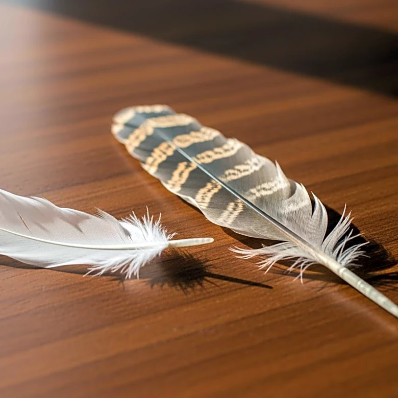 Lana Del Rey Announces New Single 'White feather-hawk tail deer hunter' Set for February Release