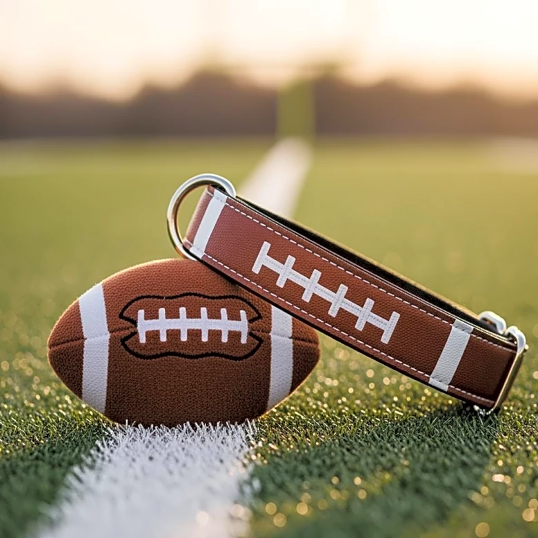 Puppy Bowl 2026 Showcases NFL-Inspired Dogs and Raises Awareness for Rescue Shelters