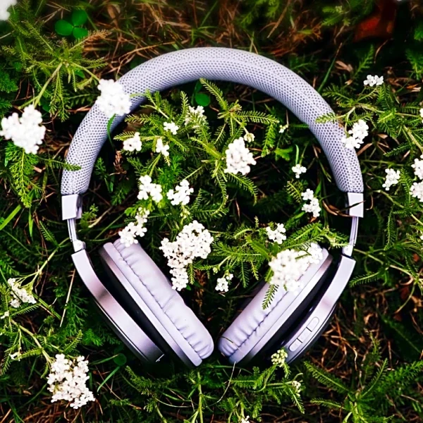 Understanding Earworms: Why Songs Get Stuck in Our Heads