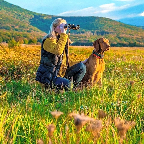 Bravident Launches Adventure Matching Set for Pet and Owner Outdoor Comfort