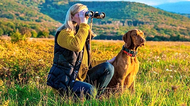 Bravident Launches Adventure Matching Set for Pet and Owner Outdoor Comfort