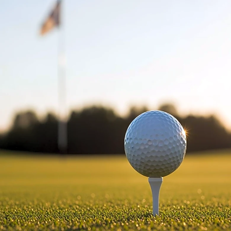 Chris Gotterup Claims Victory at Phoenix Open After Playoff