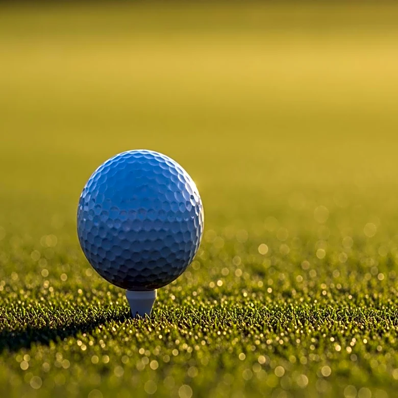 Patrick Reed Wins Qatar Masters, Continues Strong DP World Tour Performance