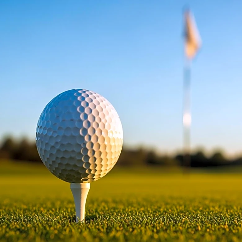 Chris Gotterup Triumphs at Phoenix Open After Playoff Against Hideki Matsuyama