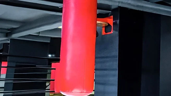 Rage Rooms Offer Americans a New Outlet for Anger Management Amid Rising Frustrations