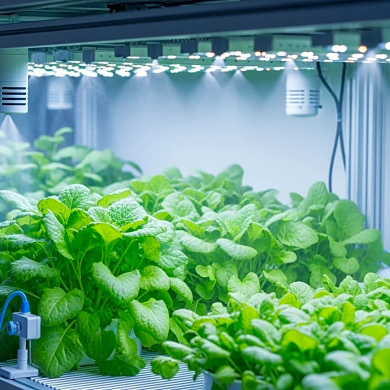 Indoor Farming Market Projected to Reach USD 112.93 Billion by 2032 Amidst Rising Food Security Concerns