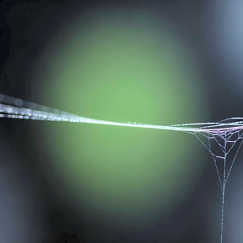 Kraig Biocraft Laboratories Announces Major Expansion in Spider Silk Production