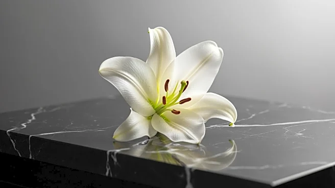 Catherine O'Hara's Cause of Death Revealed as Pulmonary Embolism with Cancer