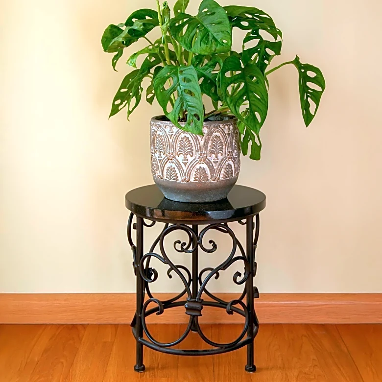 Tech Solutions to Help Houseplants Thrive During Winter