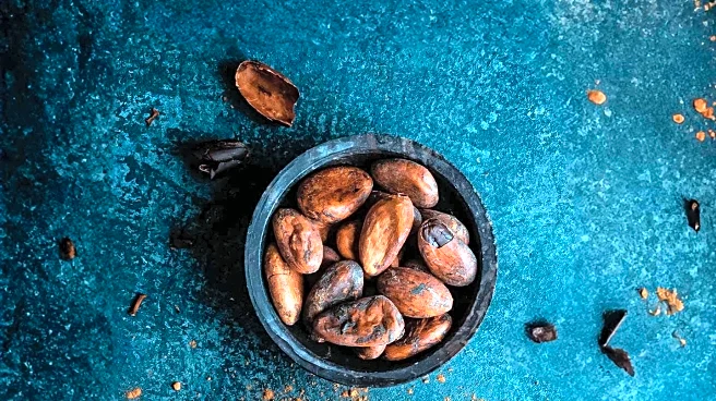 Cocoa's Role in Gut Health: Chocolate's Unexpected Benefits for Digestion and Immunity