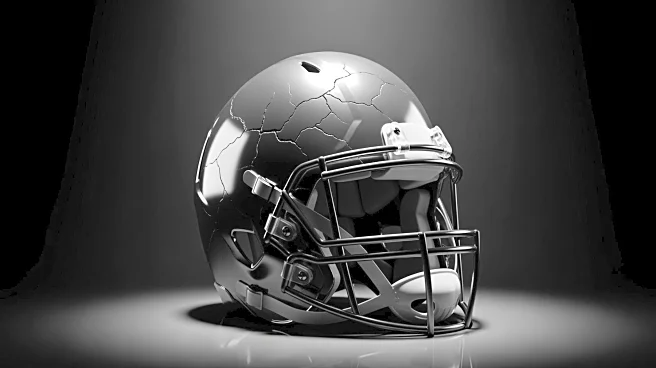 Patriots Face 'One-Hit Wonder' Concerns After Super Bowl Loss to Seahawks