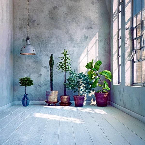 CNET Highlights Tech Solutions for Thriving Houseplants in Winter