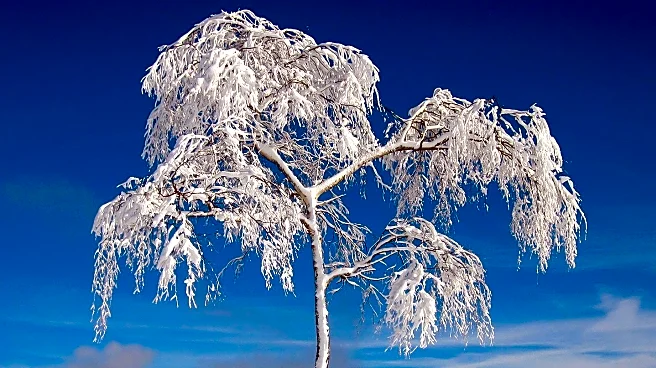 Finger Lakes Region Offers Scenic Winter Hiking Opportunities