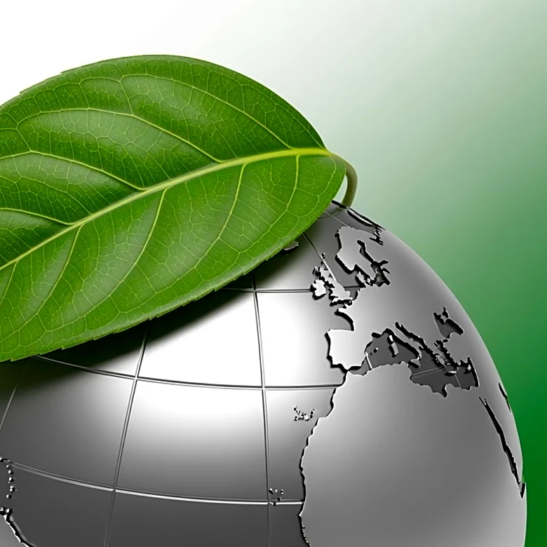 Former Impossible Foods CEO McGuinness Appointed to Lead Bel North America, Aiming for Growth and Sustainability