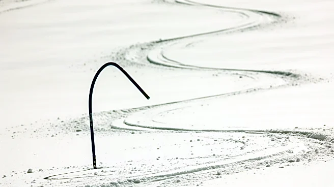 Lindsey Vonn Crash Gate Causes Another Skier's Misstep at 2026 Olympics