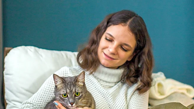 Swedish Woman Adopts Feral Cats, Discovers Their Inseparable Bond