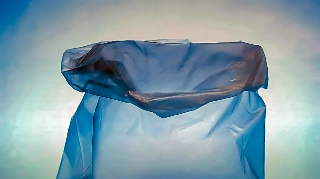 Colorado Artist Transforms Discarded Plastic into Art in Breckenridge