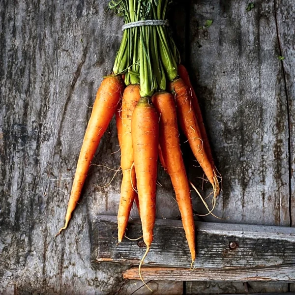 Holtville Celebrates 79th Annual 'Hoppily Ever After' Carrot Festival
