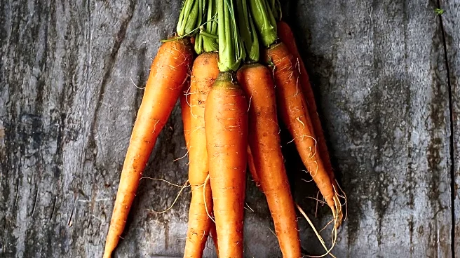 Holtville Celebrates 79th Annual 'Hoppily Ever After' Carrot Festival