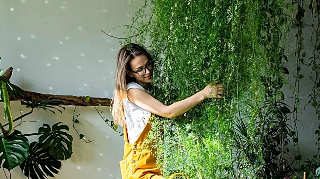 L.A. Plant Community Mourns Jeanette Marantos, Celebrated Advocate for Native Plants