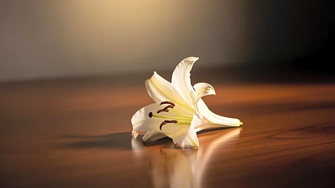 James Van Der Beek, Star of 'Dawson's Creek', Dies at 48 After Cancer Battle